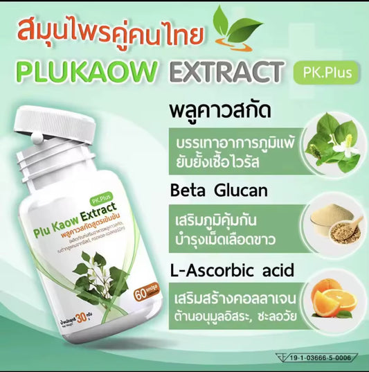 Plu Kaow Pk Plus Herbal Dietary Supplement (30 Capsules) – Immune Support & Respiratory Health